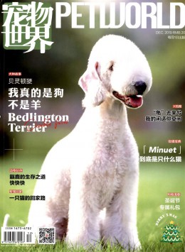 寵物世界 · 領秀雜志